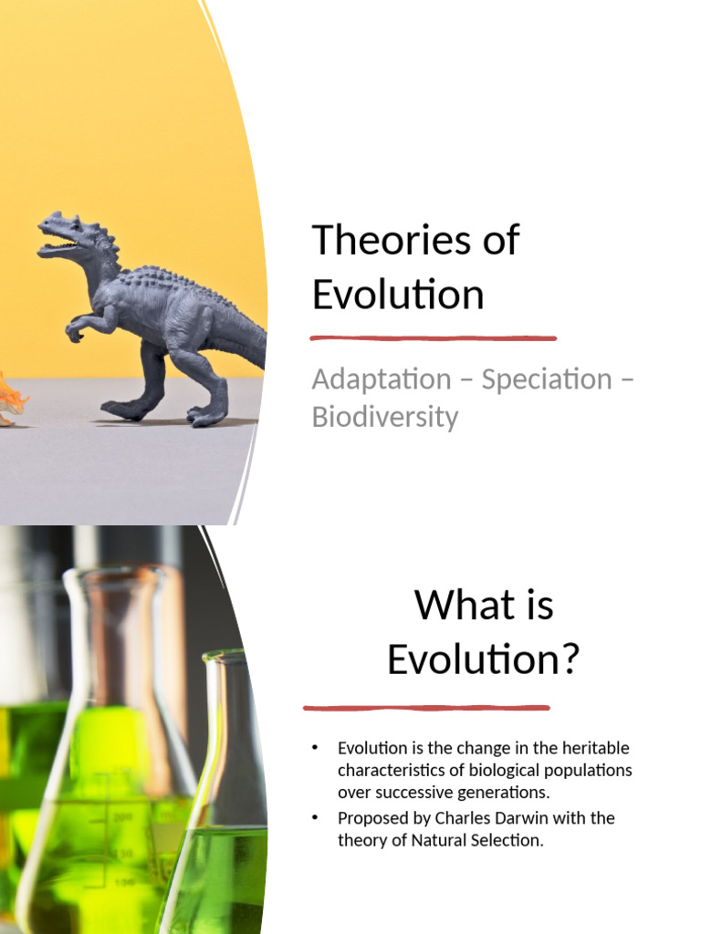 Evolution, Adaptation, and Biodiversity | PDF