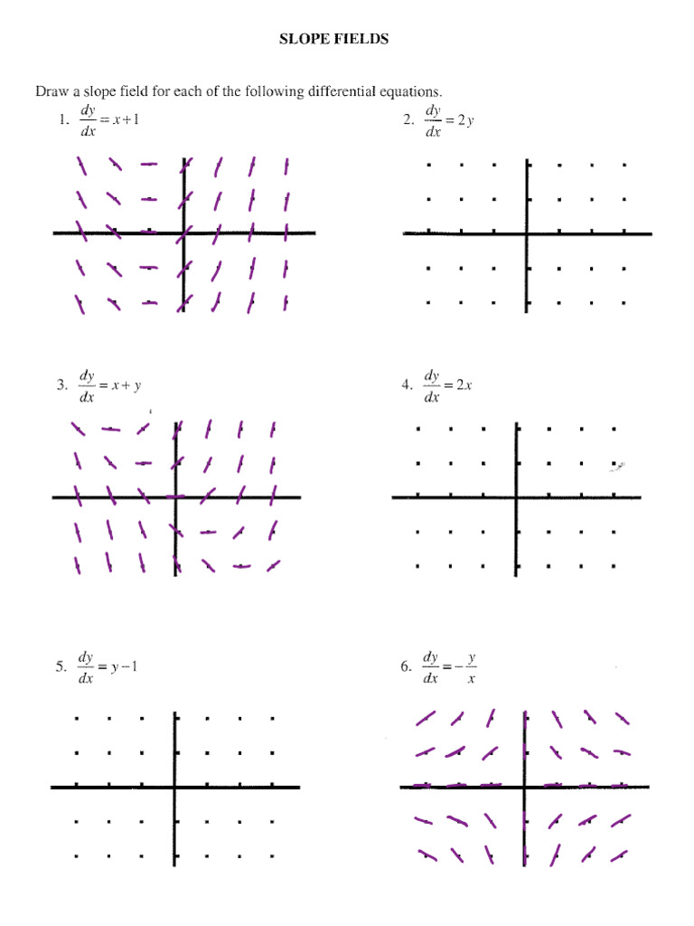 WS Slope Fields Answers | PDF