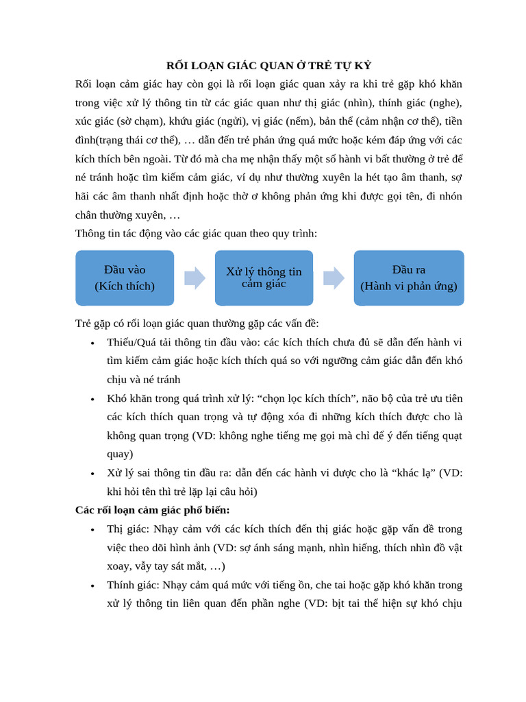 Rối Loạn Giác Quan ở Trẻ Tự Kỷ | PDF