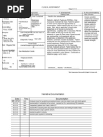 Patient's Report Past Health History Patient Data Plan & Action