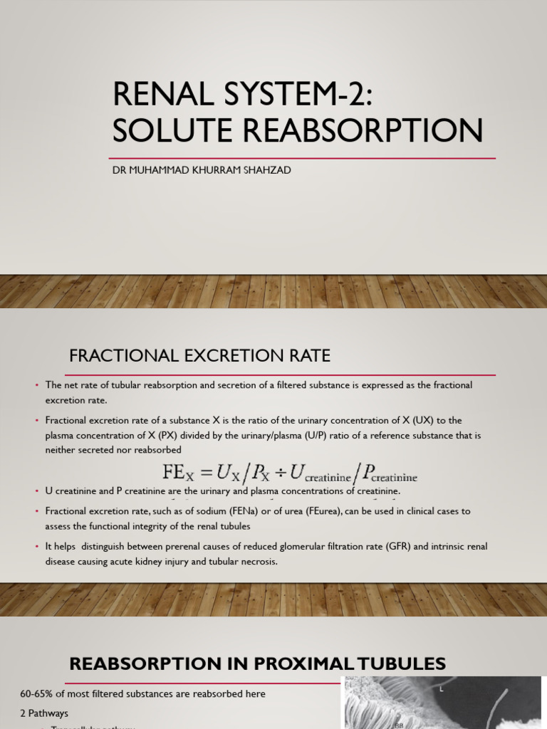 Renal Solute Reabsorption Mechanisms | PDF | Cell Membrane | Kidney