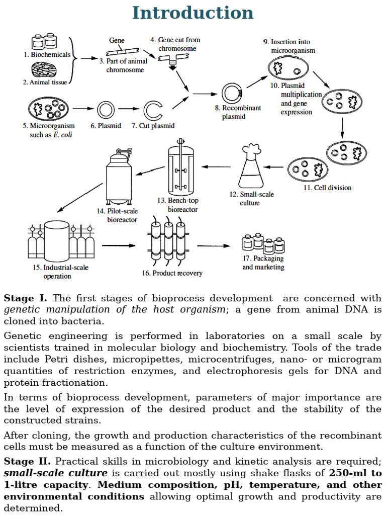 5 BioprocessDevelopment | PDF | Proteins | Enzyme