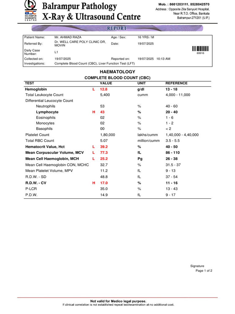 LabReport L1 MR - AHMADRAZA16YRS M 19 07 202520250719 2 thf2wr | PDF ...