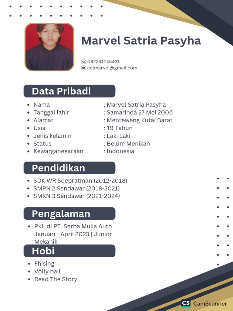 CV Marvel Satria Pasyha - Halaman-Digabungkan | PDF