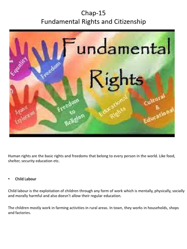 Human Rights and Citizenship Overview | PDF
