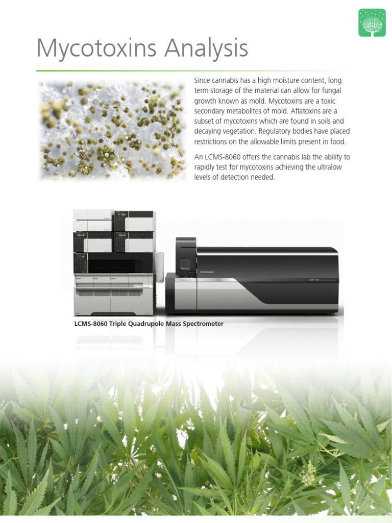 Mycotoxin Testing in Cannabis Labs | PDF
