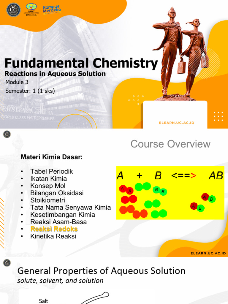 Aqueous Reactions and Ionic Equations | PDF | Aqueous Solution | Hydroxide