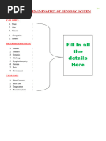 INCAT Sensory Sum Score Overview | PDF | Anatomical Terms Of Location ...