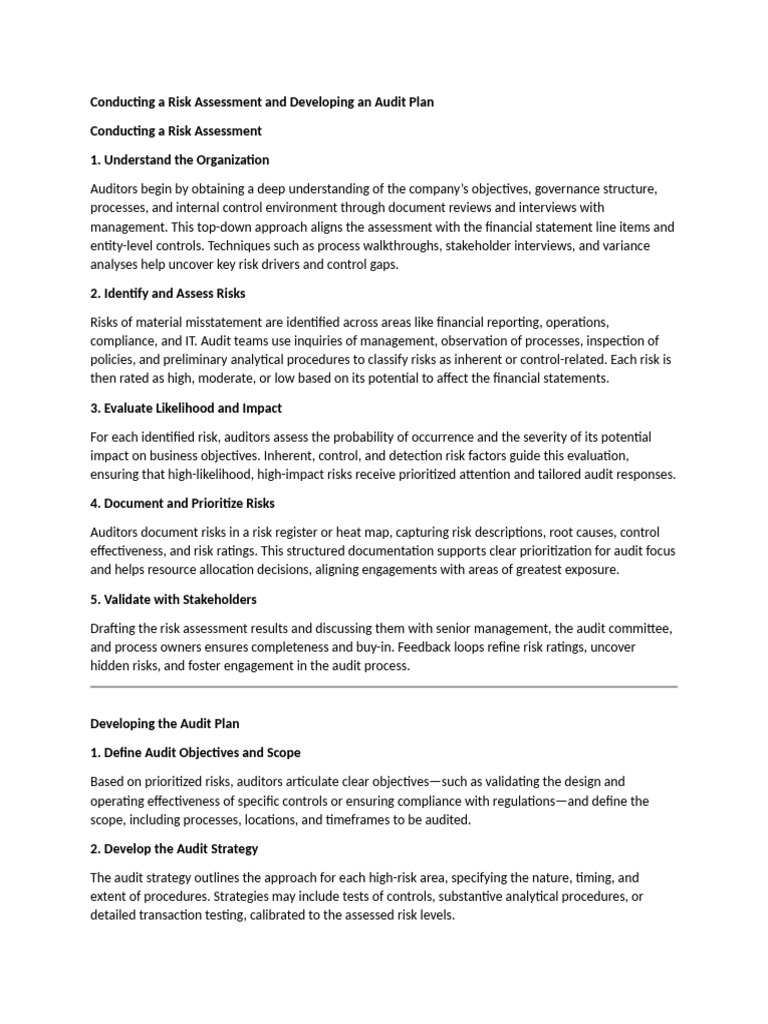 Risk Assessment and Audit Plan Guide | PDF | Audit | Risk
