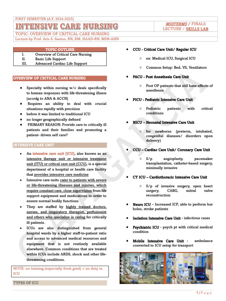 Overview Intensive Care Nursing | PDF | Intensive Care Unit ...