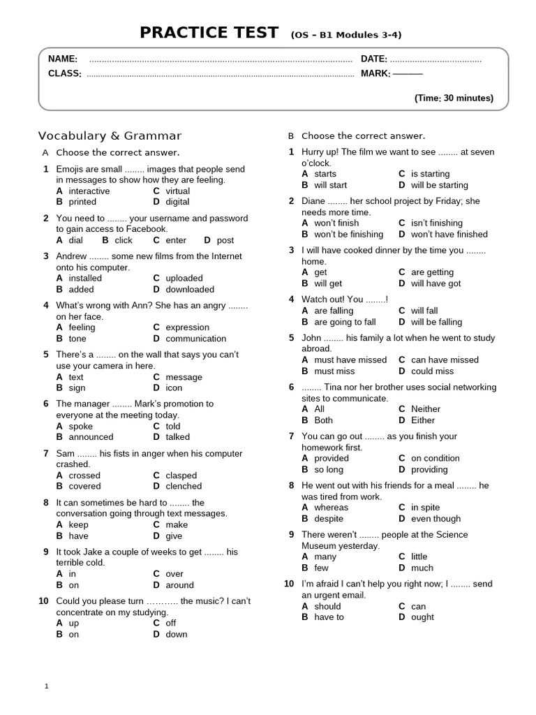 Vocabulary & Grammar Practice Test B1 | PDF | Translations | Human ...