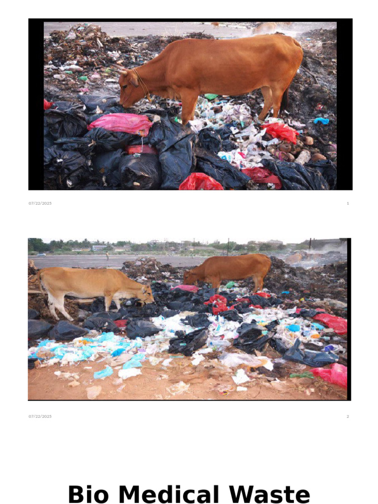 Biomedical Waste Management Guide | PDF | Waste | Incineration