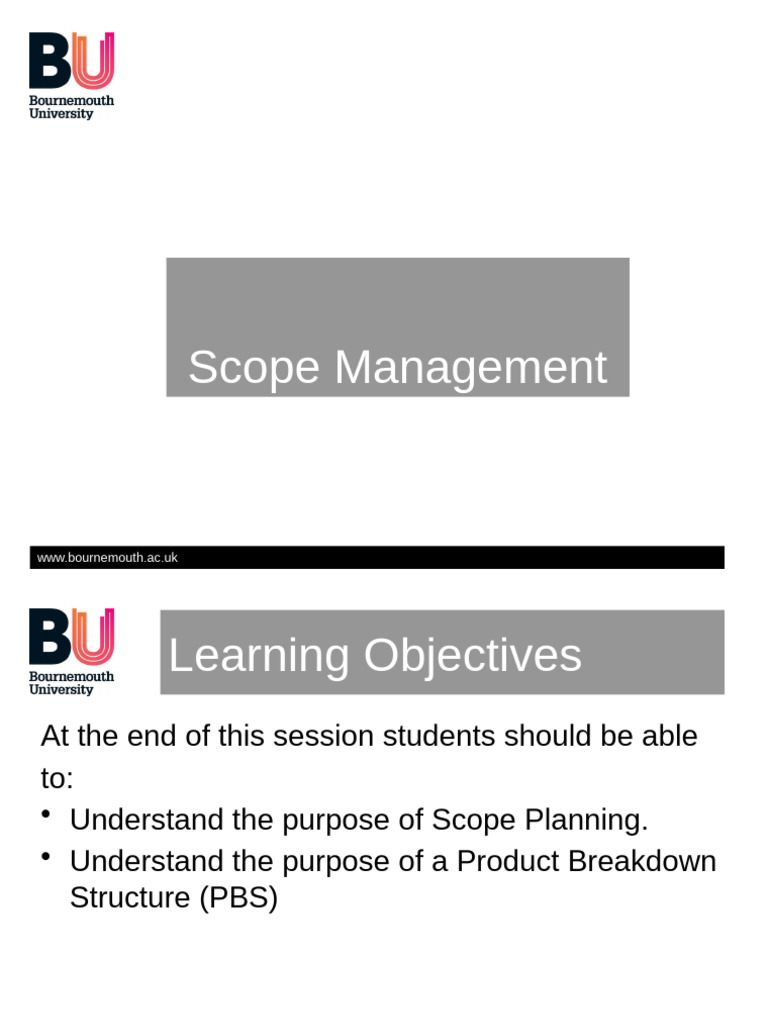 Week 2 Scope Management | PDF | Project Management | Business