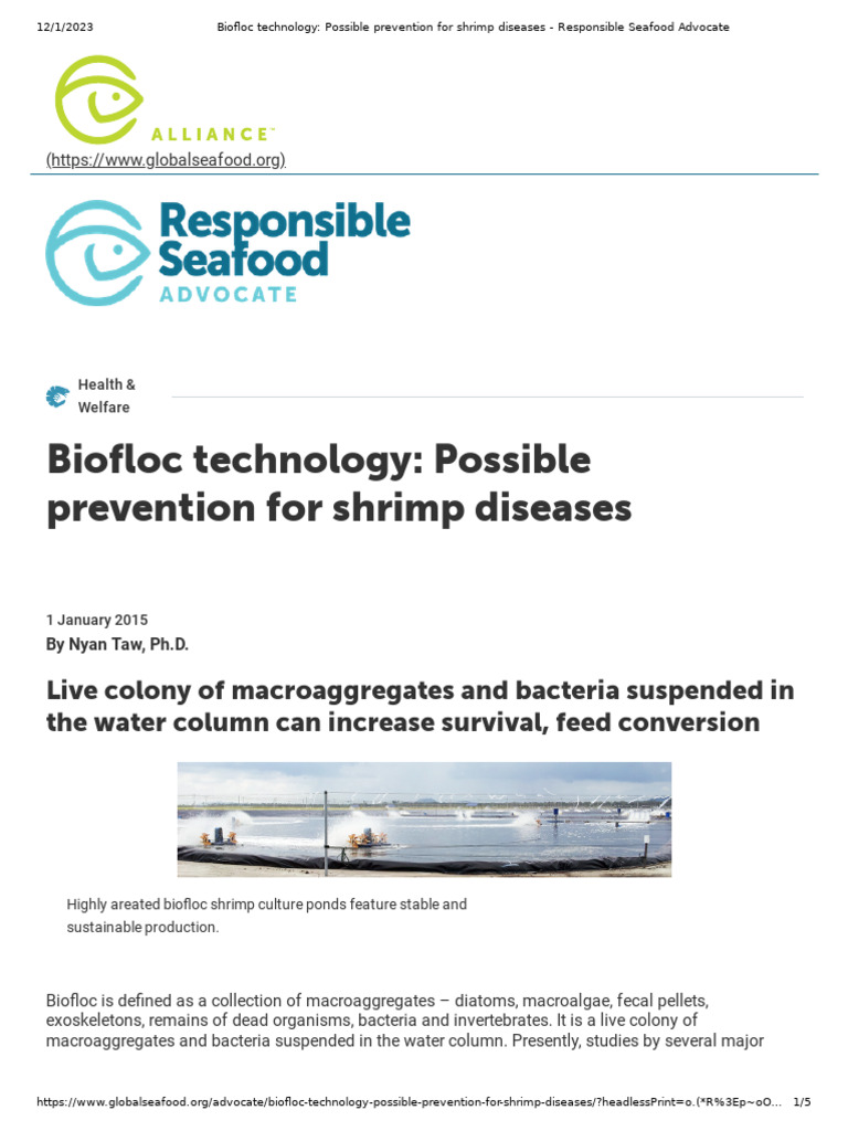 Biofloc Technology for Shrimp Disease Prevention | PDF | Water | Pond