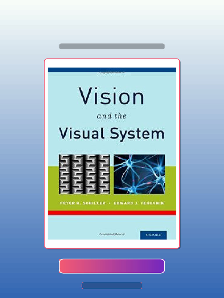 Vision and The Visual System Ebook and TestBank Bundle Fast Access ...