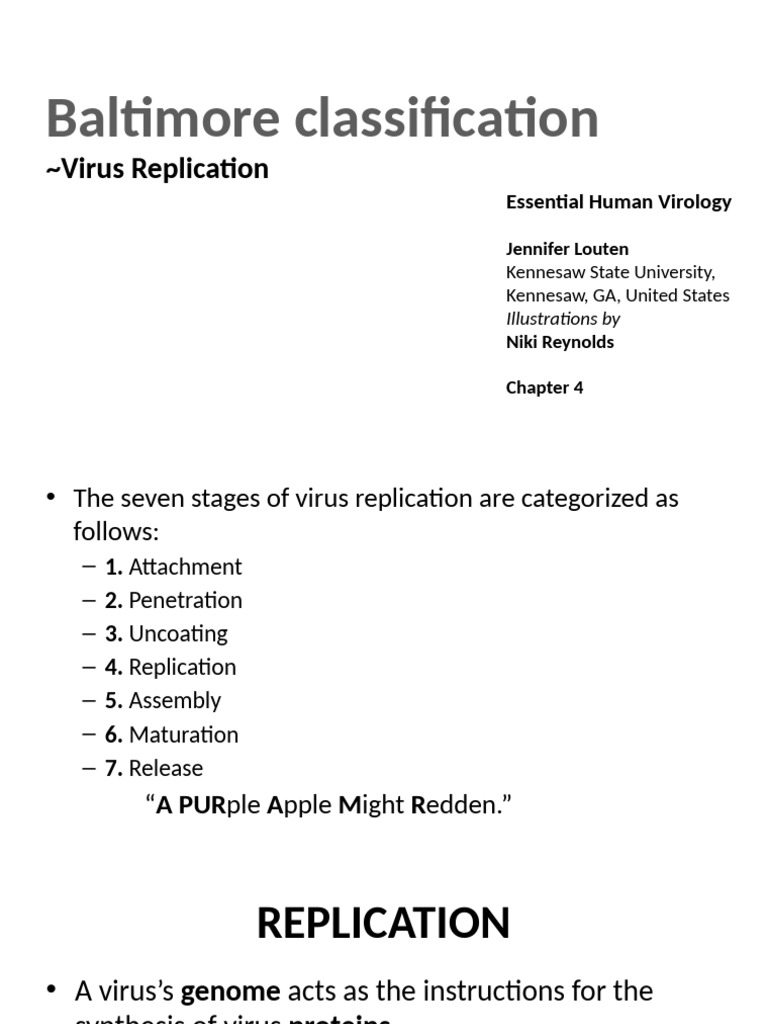 Virus Replication and Baltimore Classification | PDF | Reverse ...