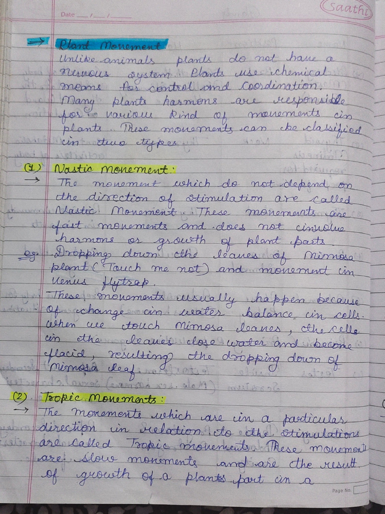 Science Notes - Control and Coordination | PDF