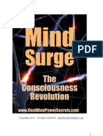 Mind Surge New