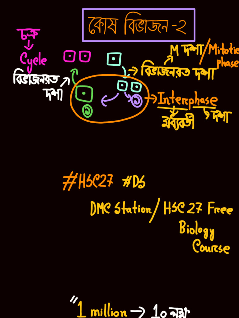 Cell Division 2 HSC 27 | PDF