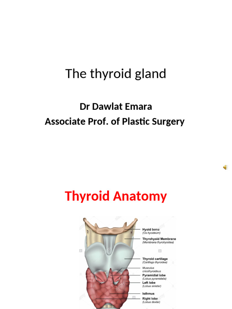6 the Thyroid Gland 1 | PDF | Thyroid | Medical Specialties