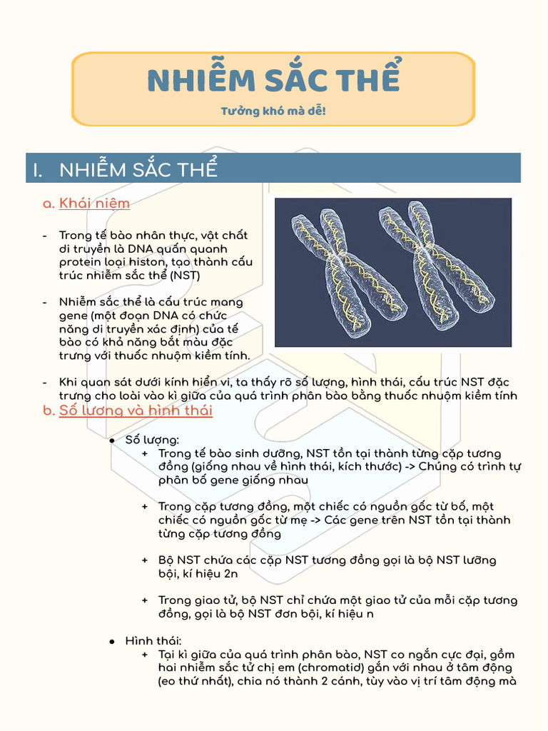 Tài Liệu - nst Thường Và Nst Giới Tính | PDF