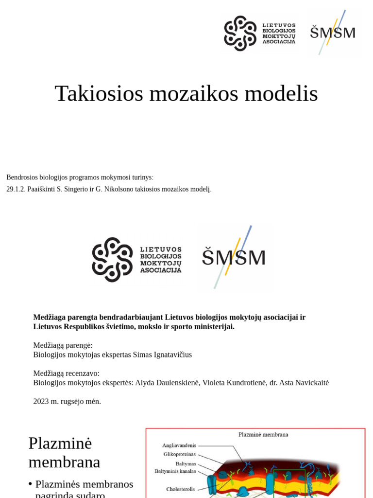 Biologija IIIkl. Skaidres 2 Takiosios-Mozaikos-Modelis | PDF