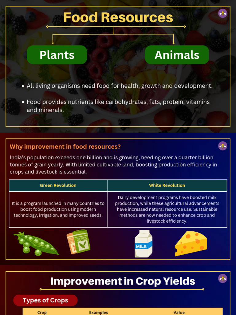 Enhancing Food Production Techniques | PDF | Plant Nutrition | Nutrients