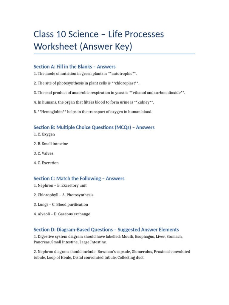 Class 10 Life Processes Answer Key | PDF | Blood | Lung