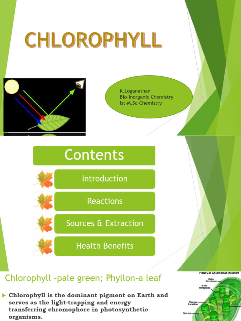 Chlorophyll Molecule: Structure and Benefits | PDF | Photosynthesis ...