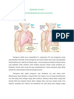 Frekuensi Respirasi Pada Manusia