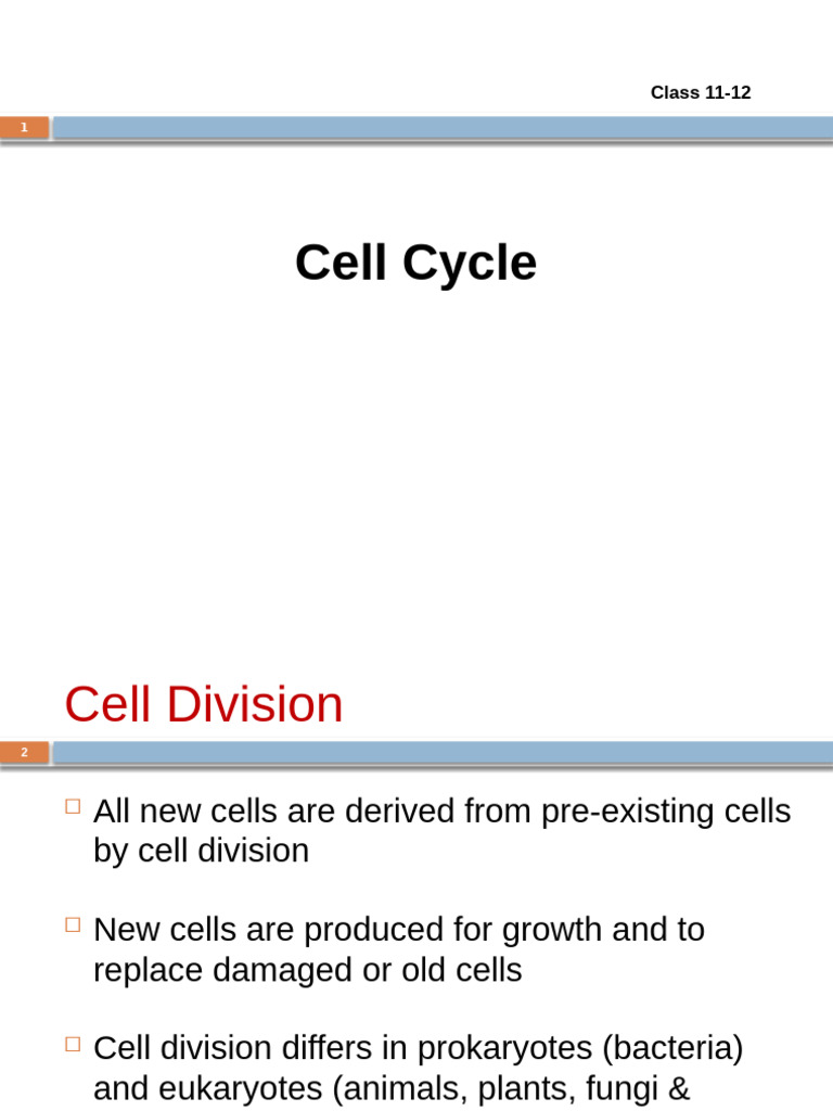 Cell Cycle and Division Explained | PDF | Meiosis | Chromosome