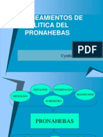 Lineamientos de Politica Del Pronahebas
