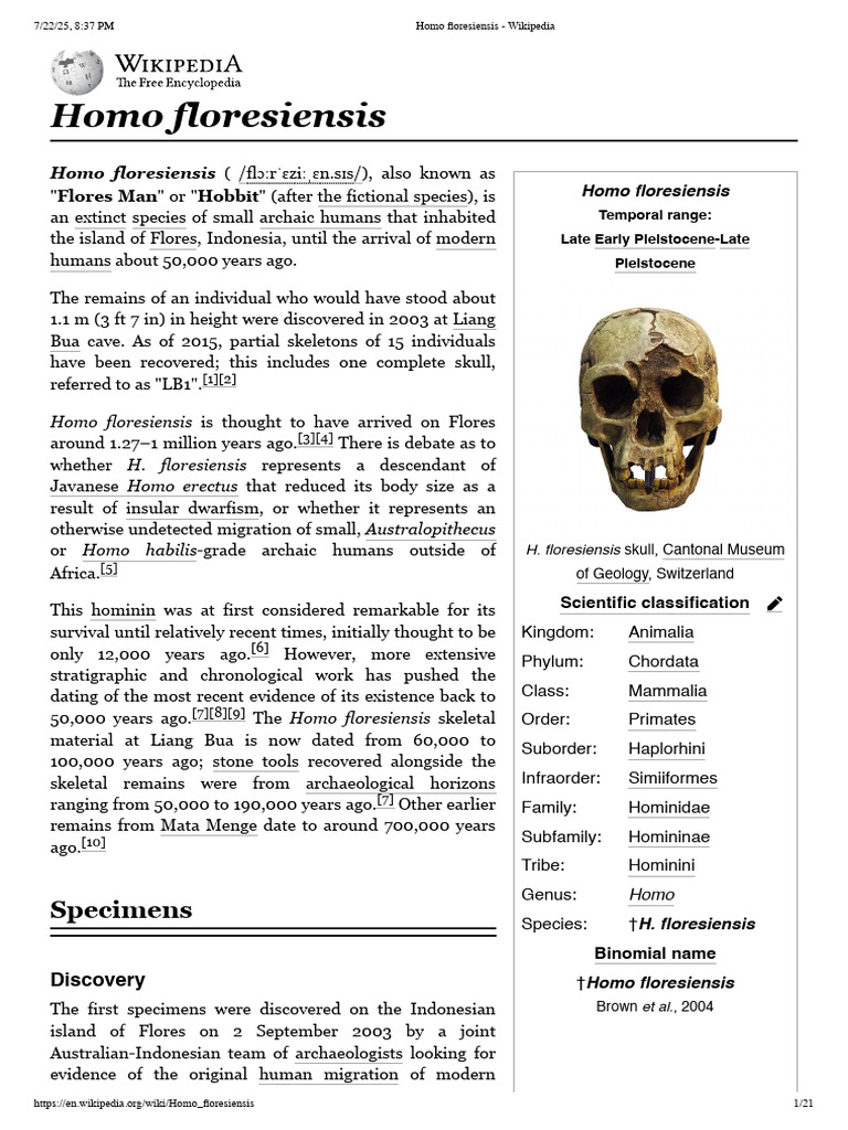 Homo floresiensis: The Hobbit Hominin | PDF | Homo | Evolution Of Primates