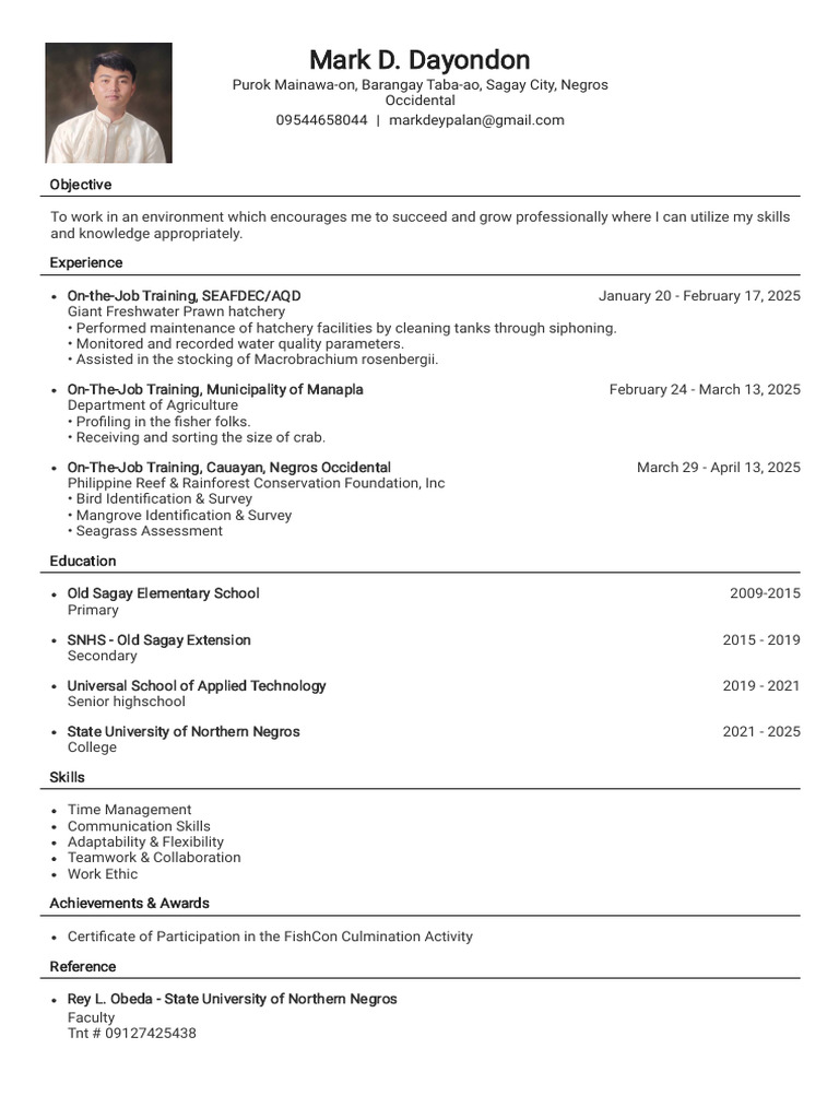 Professional Profile of Mark D. Dayondon | PDF