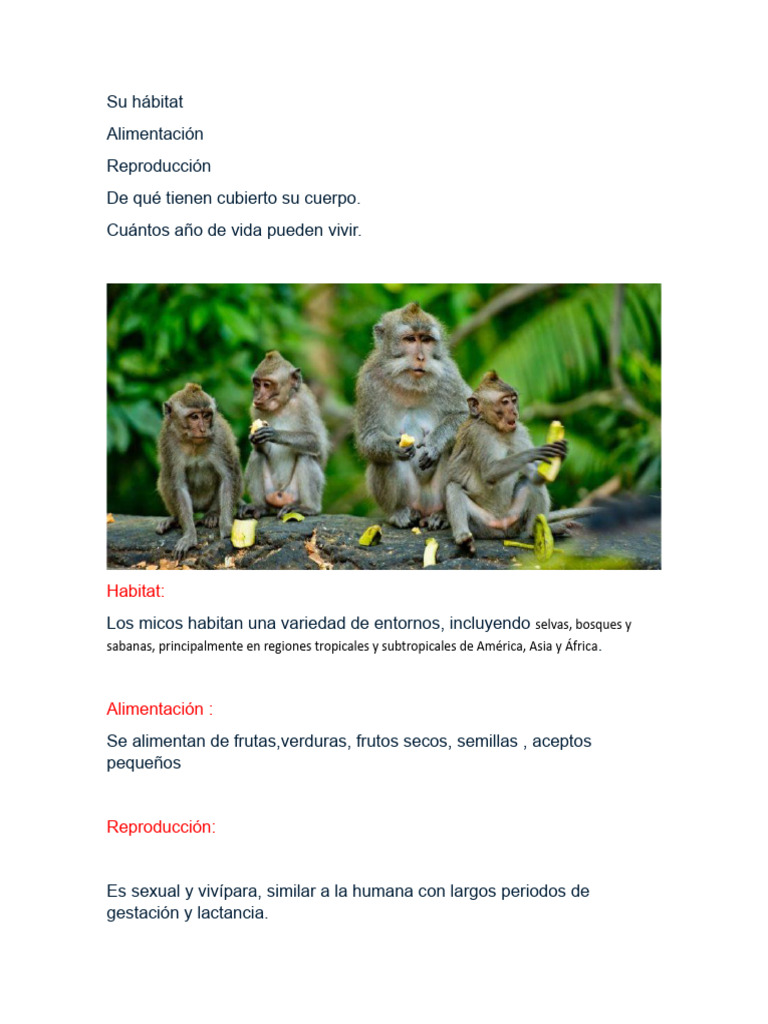 Hábitat y vida de los micos | PDF