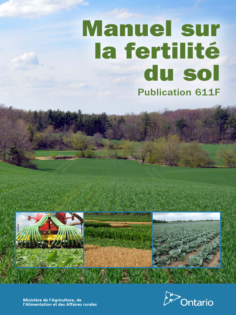 Fertilité des sols pour pommes de terre | PDF | Sol (pédologie) | Porosité