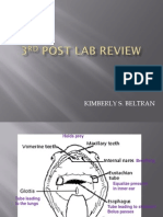 Bio 22 Lab - Post Lab 3 II