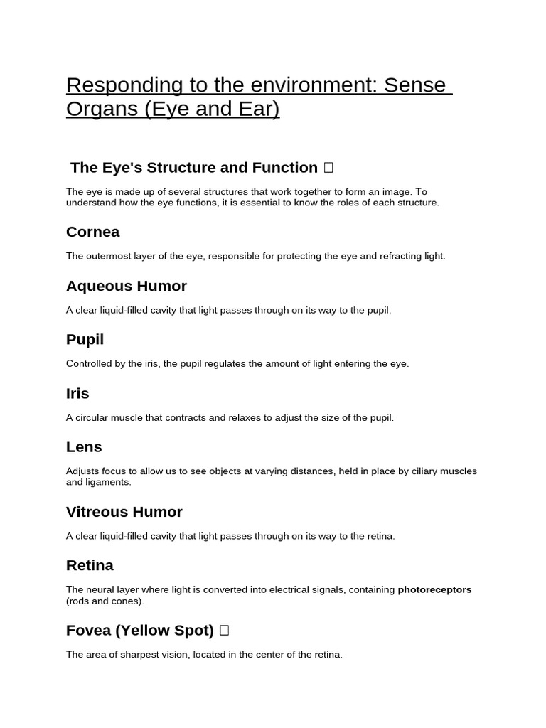 Responding To The Environment - Sense Organs (Eye and Ear) | PDF ...