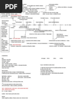 Joao Braga Materia Prova