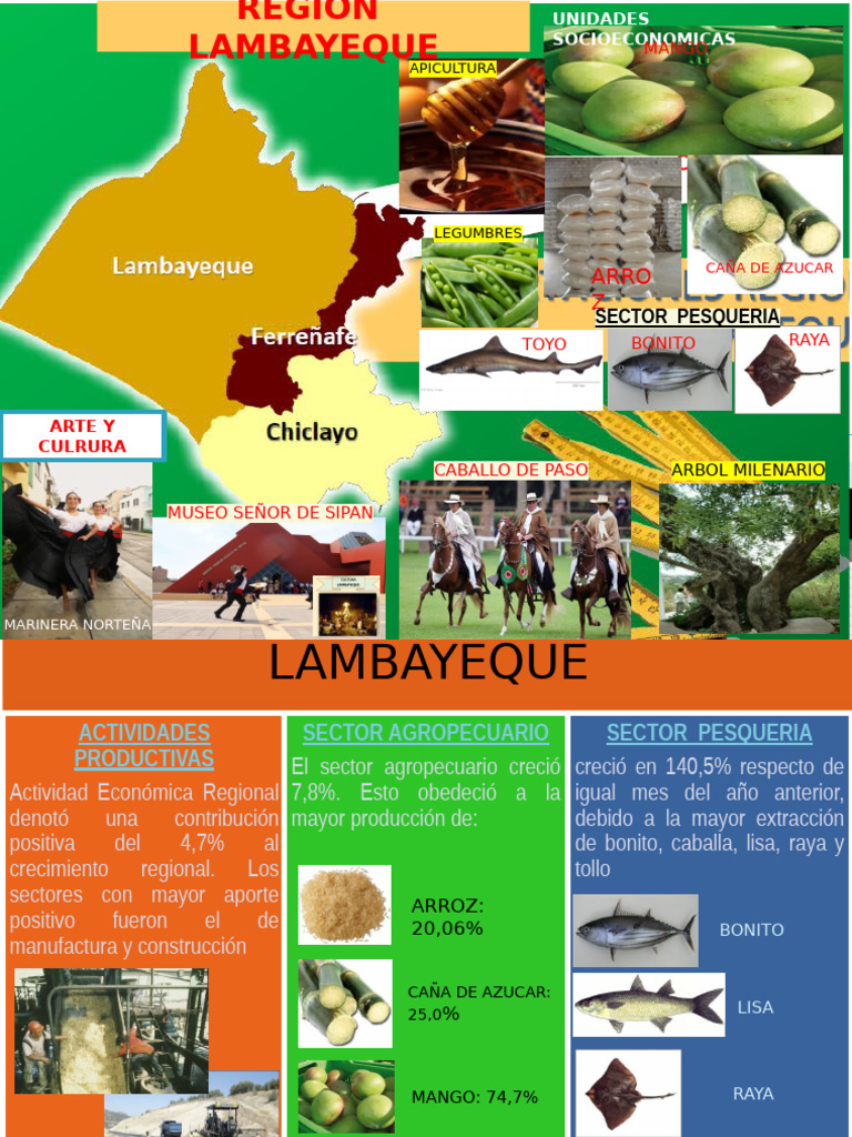 Region Lambayeque | PDF | Agricultura | Agronomía
