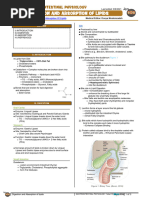 Ninja Nerd Spacial Embryology Notes | PDF