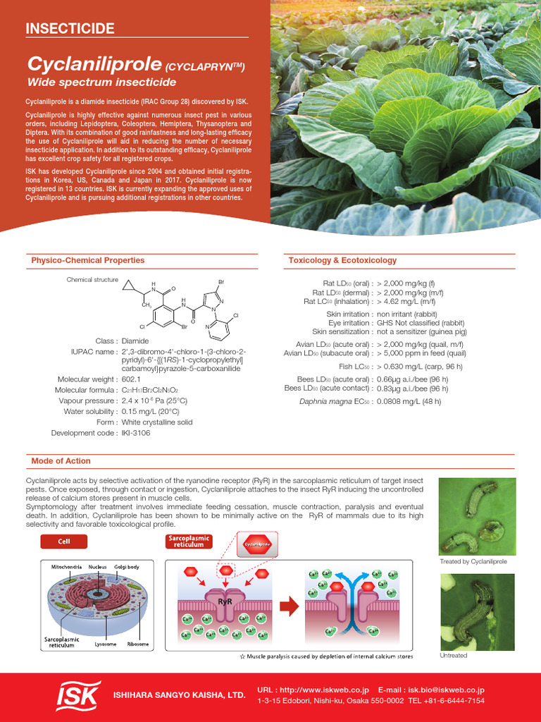 Cyclaniliprole Insecticide Overview | PDF