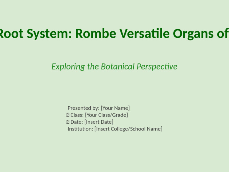 Root System Title Slide | PDF