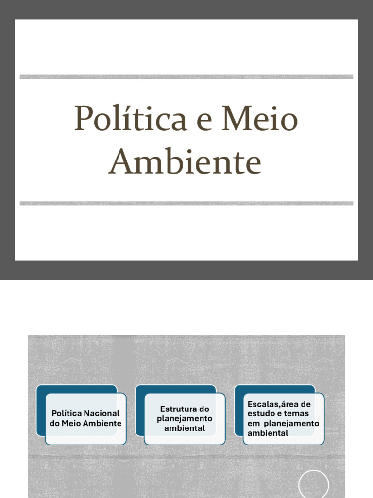 Planejamento Ambiental no Brasil: Diretrizes e Estruturas | PDF ...