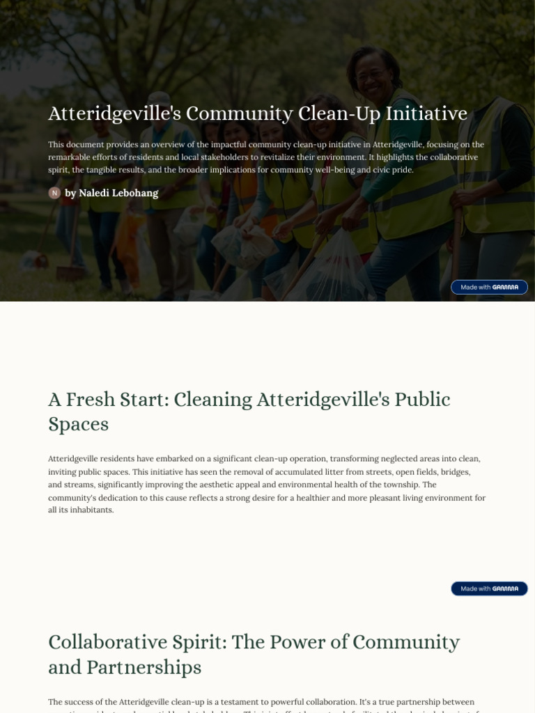 Atteridgevilles Community Clean Up Initiative | PDF | Waste Management ...