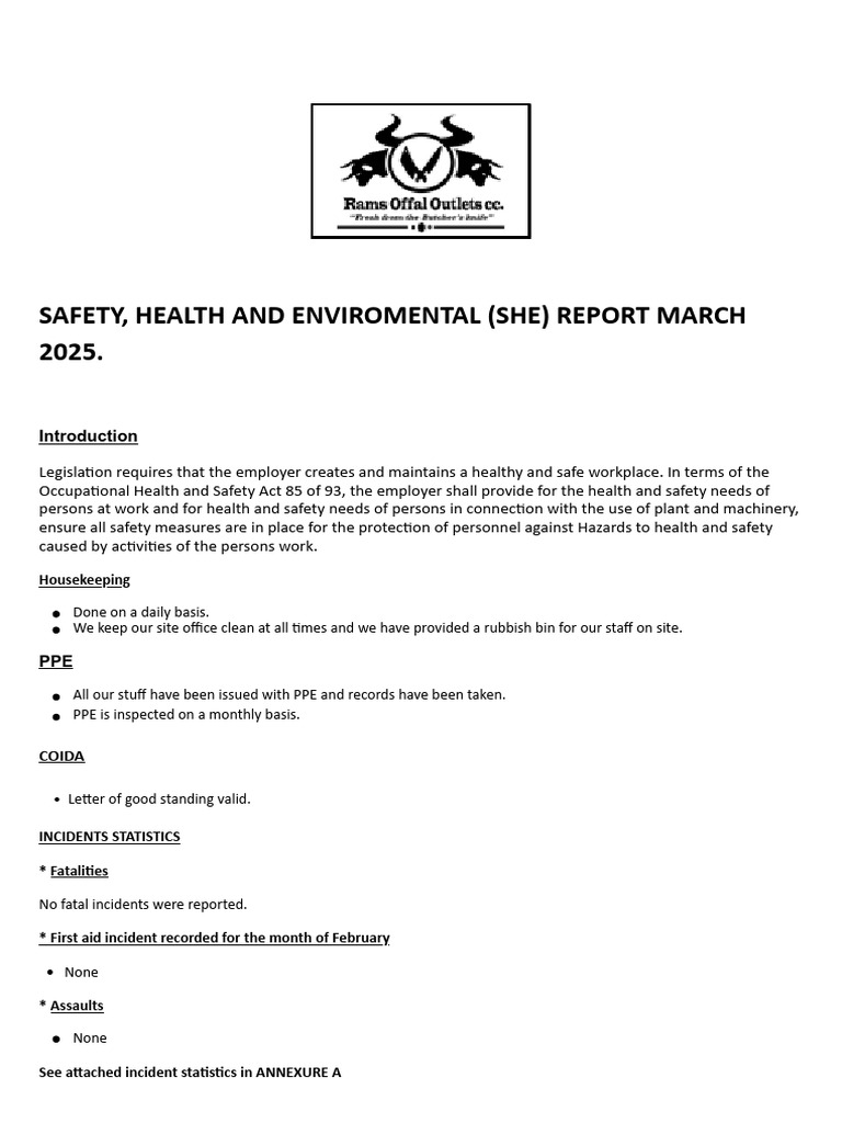OHS SAFETY REPORT - Docx1.docx - 20250330 - 210408 - 0000 | PDF ...
