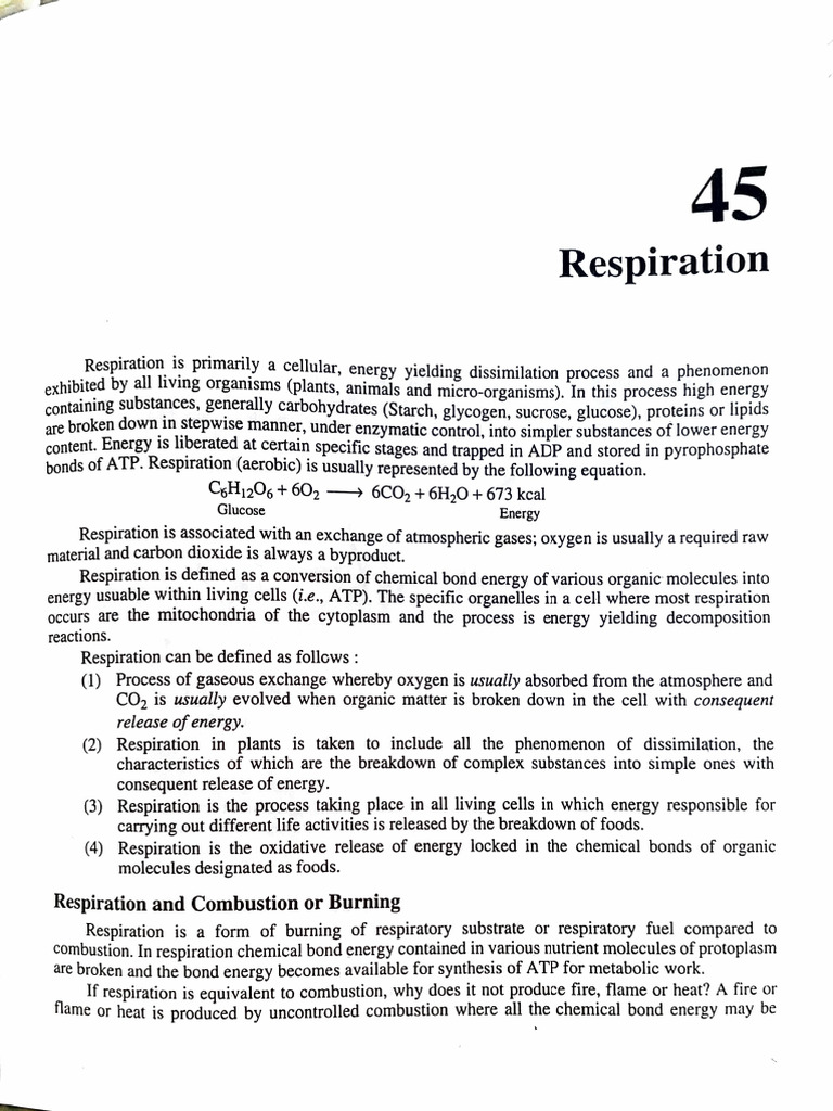 Respiration | PDF | Cellular Respiration | Citric Acid Cycle