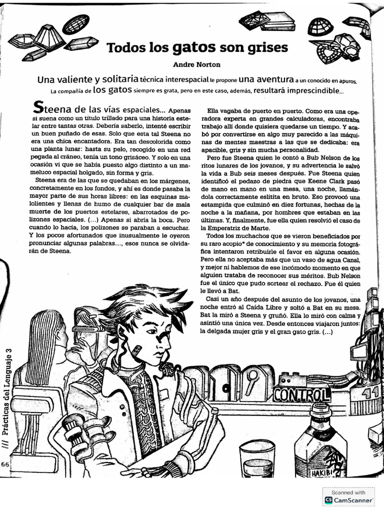 Todos Los Gatos Son Grises | PDF