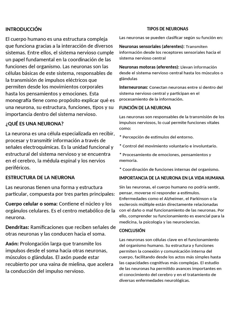 Estructura y Función de las Neuronas | PDF | Neurona | Sistema nervioso