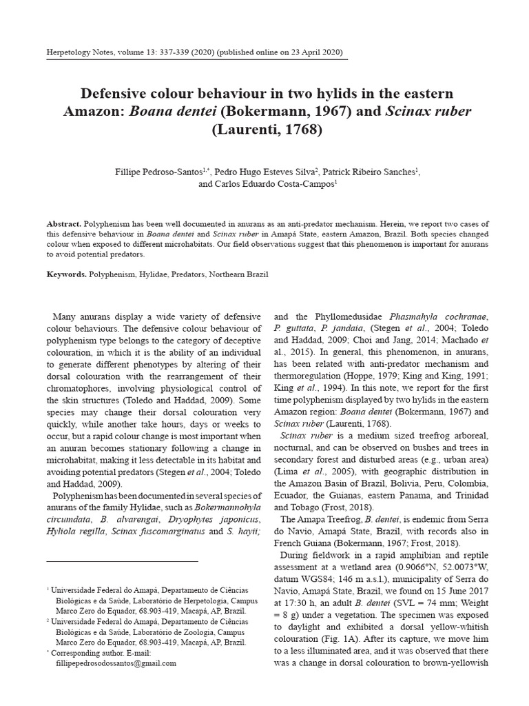 Polyphenism in Boana dentei and Scinax ruber | PDF | Amphibian | Tetrapods